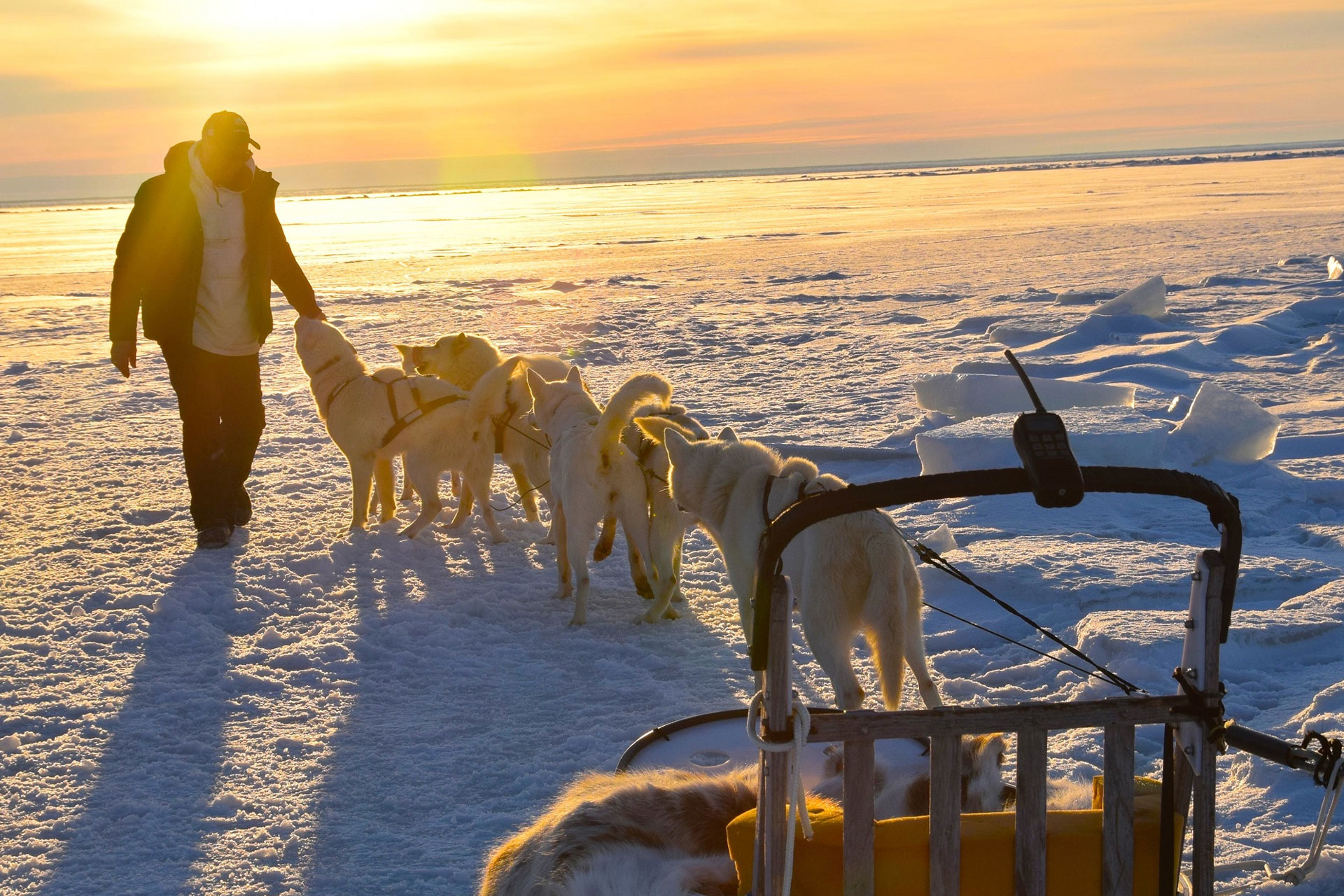 Greeting the dogsled team at Seal River Heritage Lodge