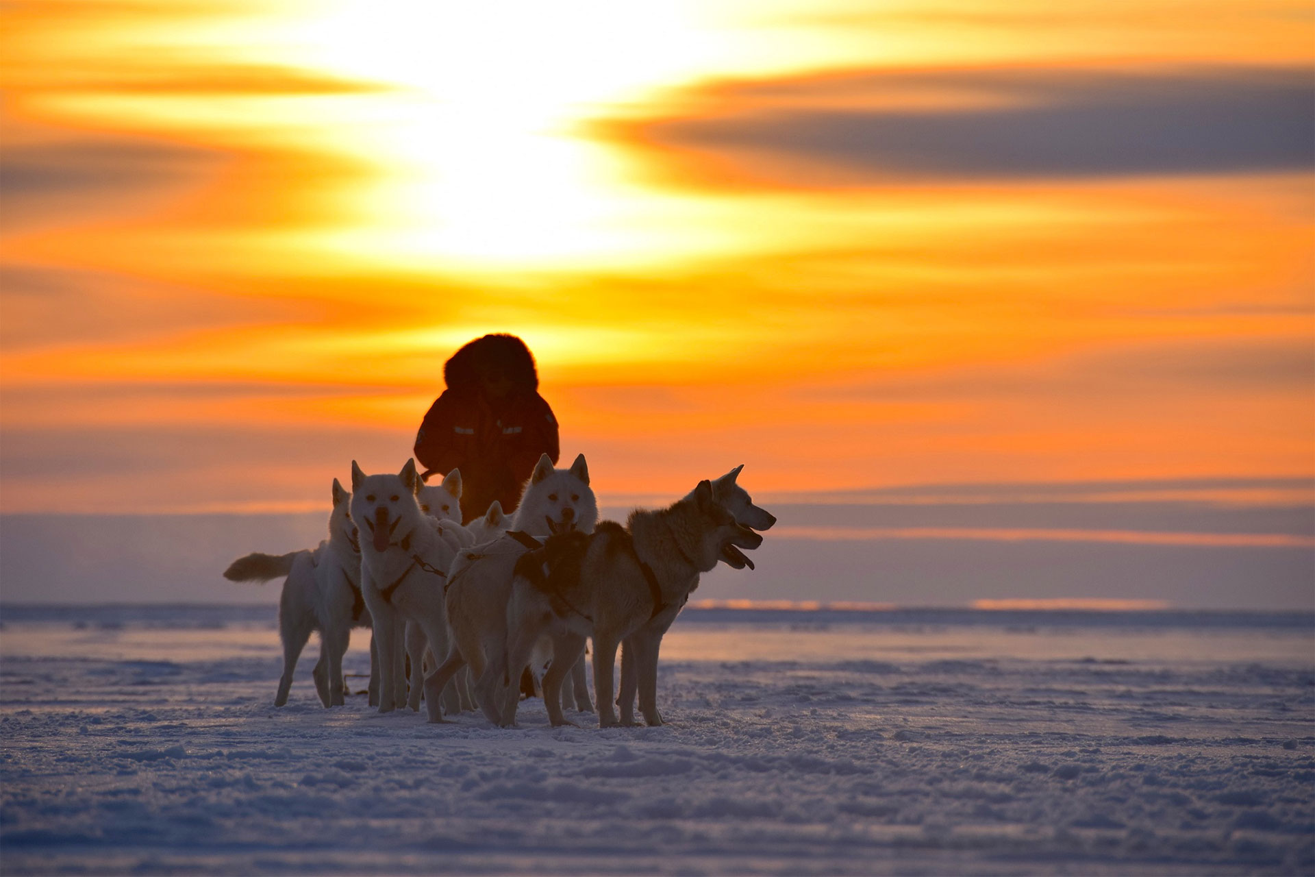 Dogsled team at sunset, Seal River Heritage Lodge