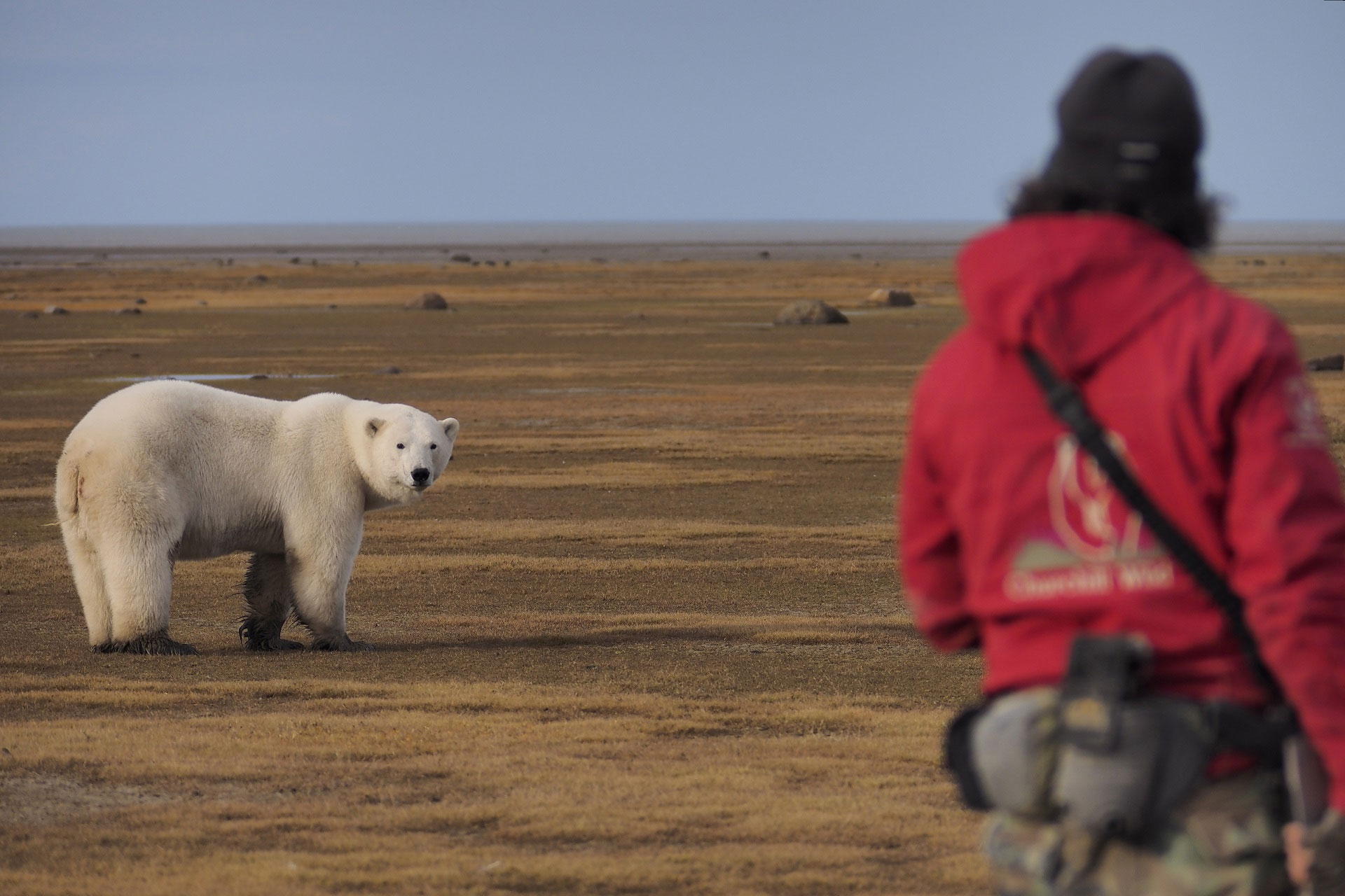 Guide and polar bear Nanuk Polar Bear Lodge. Photo by Laurence Lee